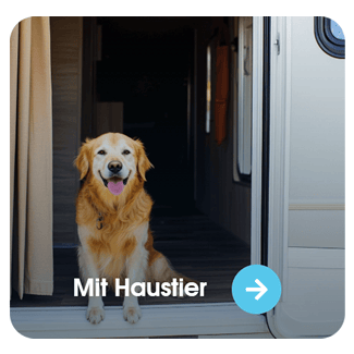 Wohnmobil Mit Haustier f&uuml;r Konstanz